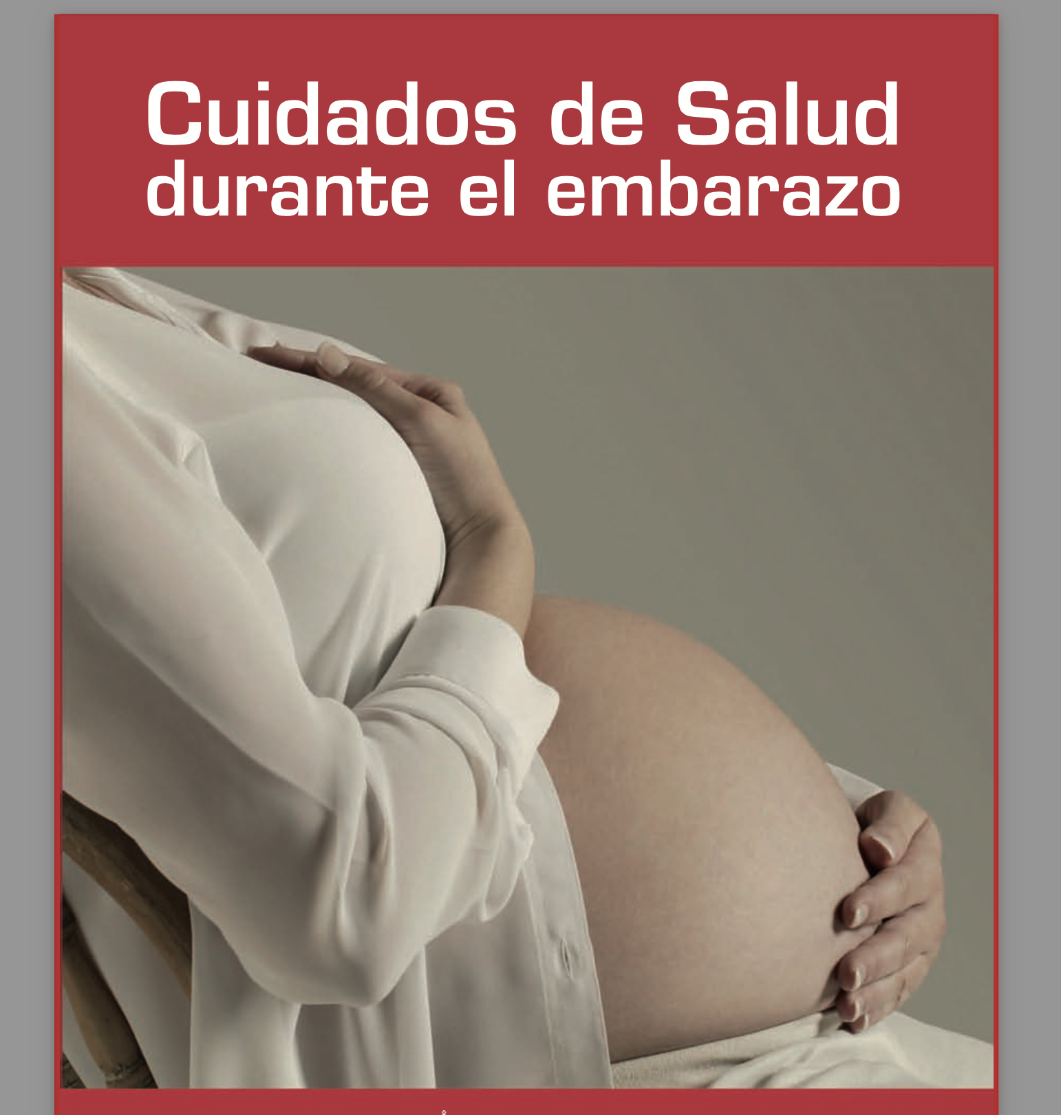 Ebook y cursos